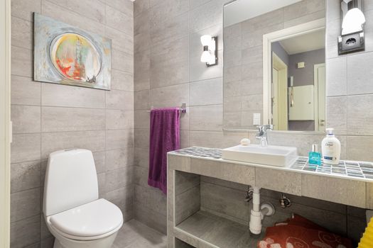 Elegant bathroom featuring contemporary design with clean lines, a toilet, sink, and artistic wall decor.