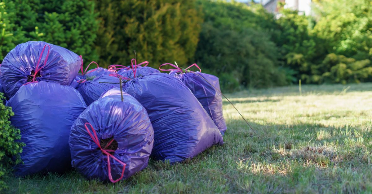 Vibrant purple trash bags stacked in a sunlit garden setting, ideal for spring clean-up visuals.