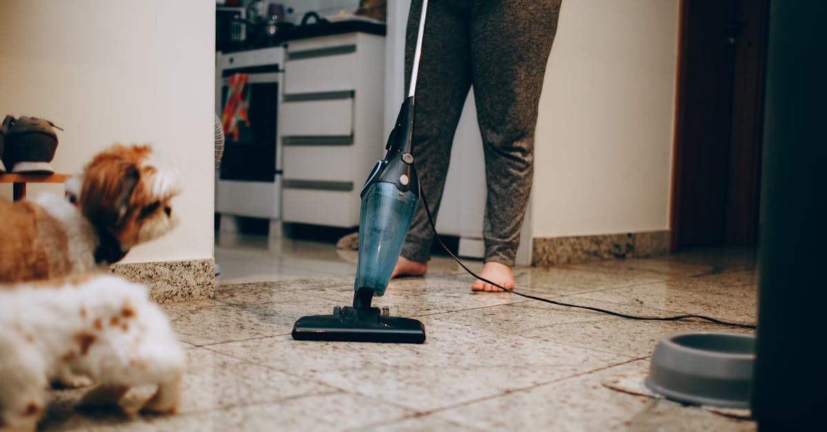 A woman cleaning the floor with a vacuum cleaner while a dog watches attentively. Indoor home setting.