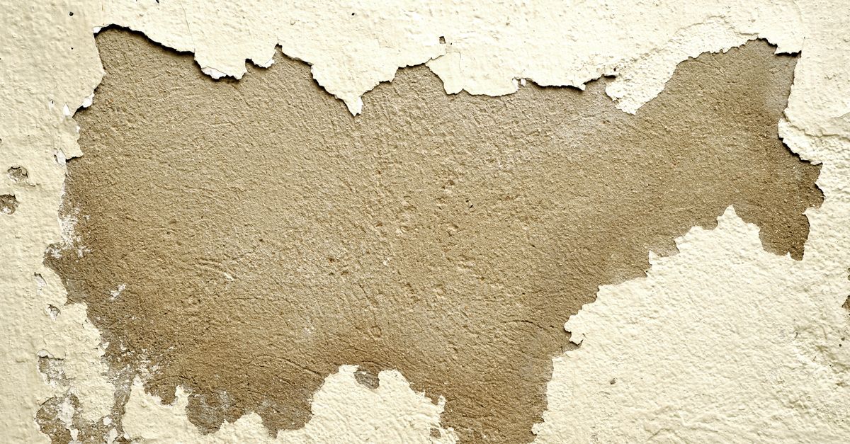 Close-up of a wall with peeling paint revealing the rough texture underneath.