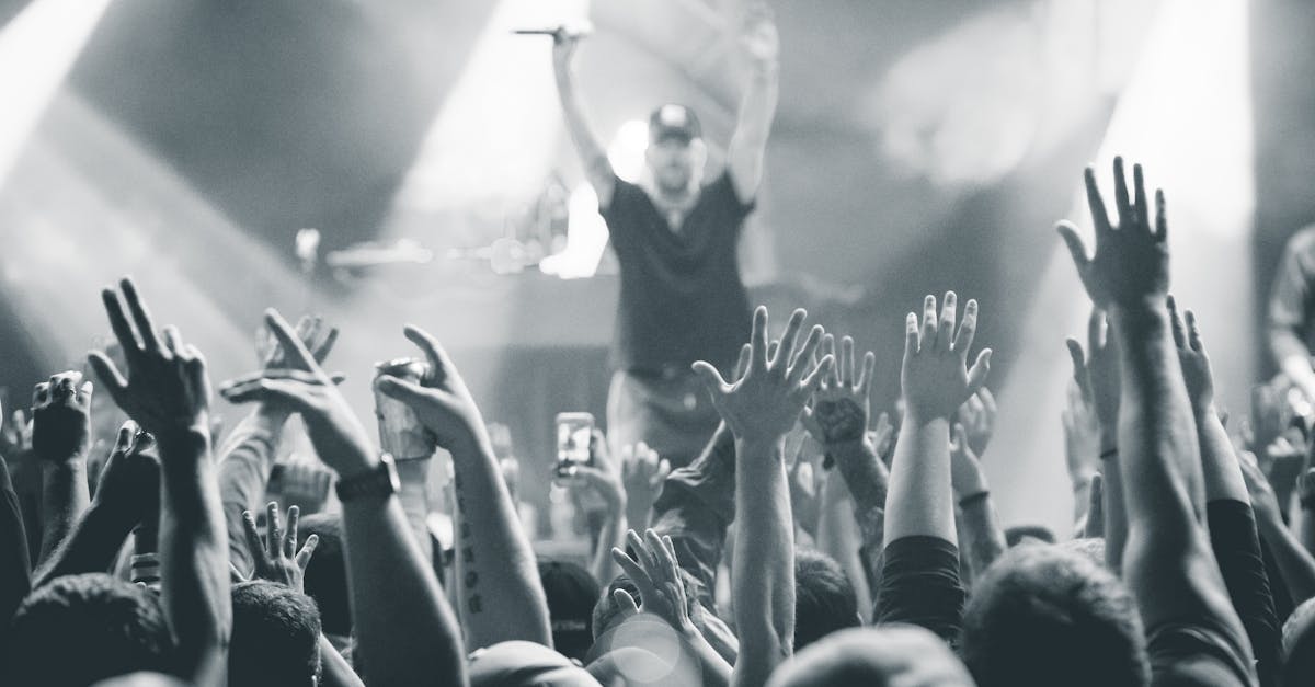 Monochrome photo capturing a vibrant live concert atmosphere with an engaging audience.