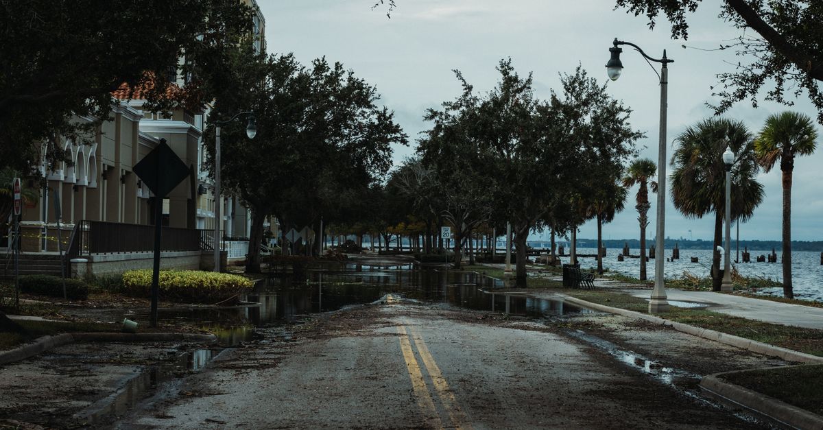 A flooded urban street with palm trees, buildings, and puddles, under a cloudy sky.