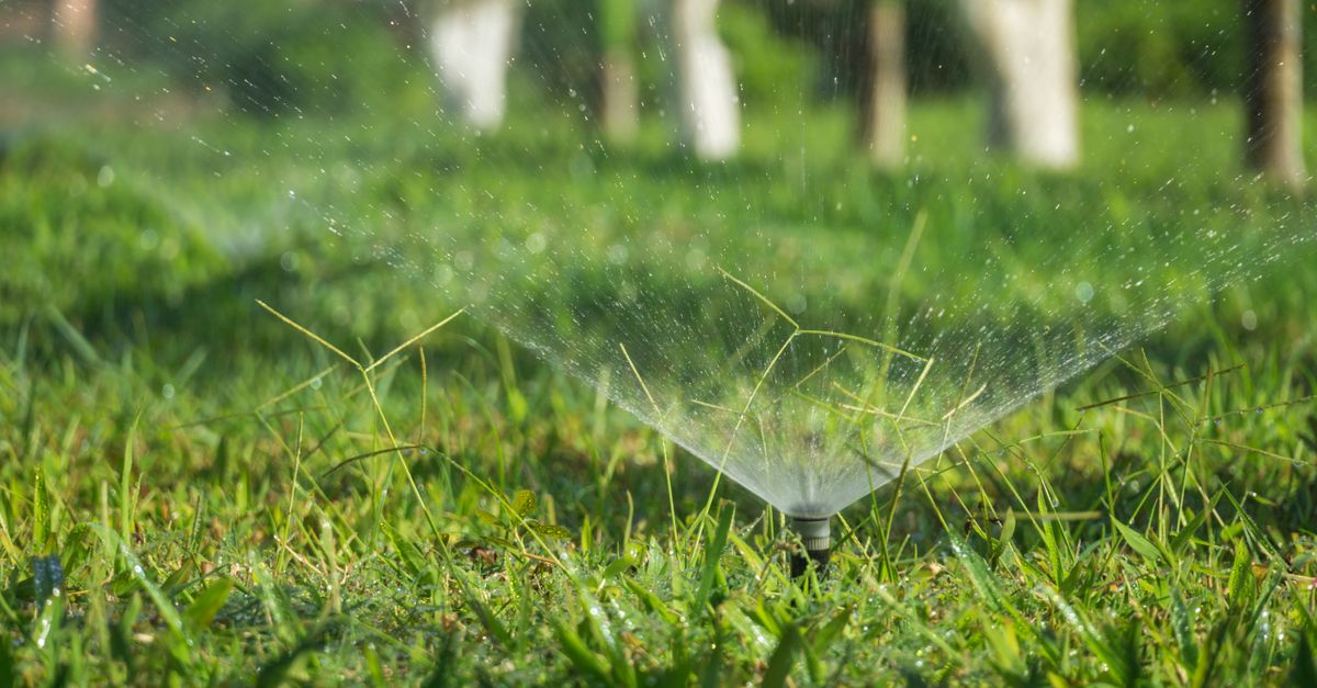 A sprinkler system watering a lush green grass field outdoors during daytime.