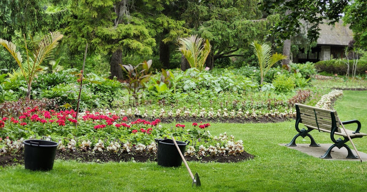 Tranquil park scene featuring lush greenery, a flower garden, and an empty bench.