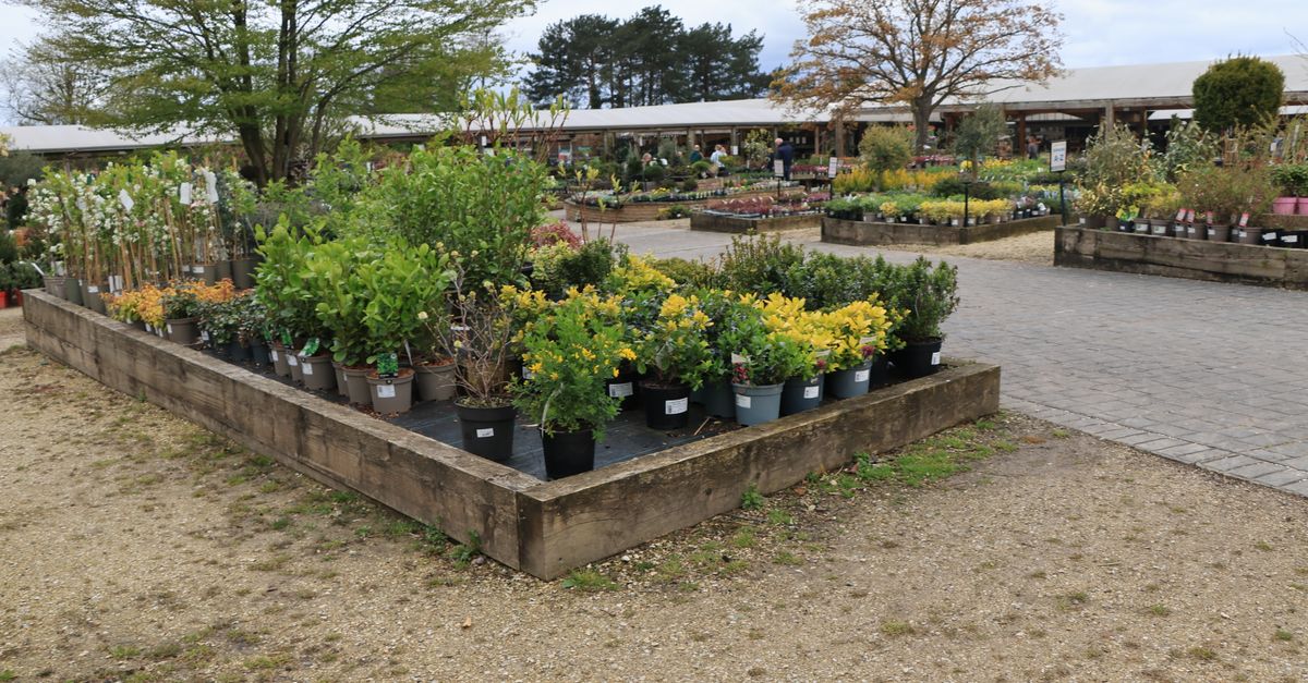 Wide view of a plant nursery with diverse greenery in pots under cloudy sky.