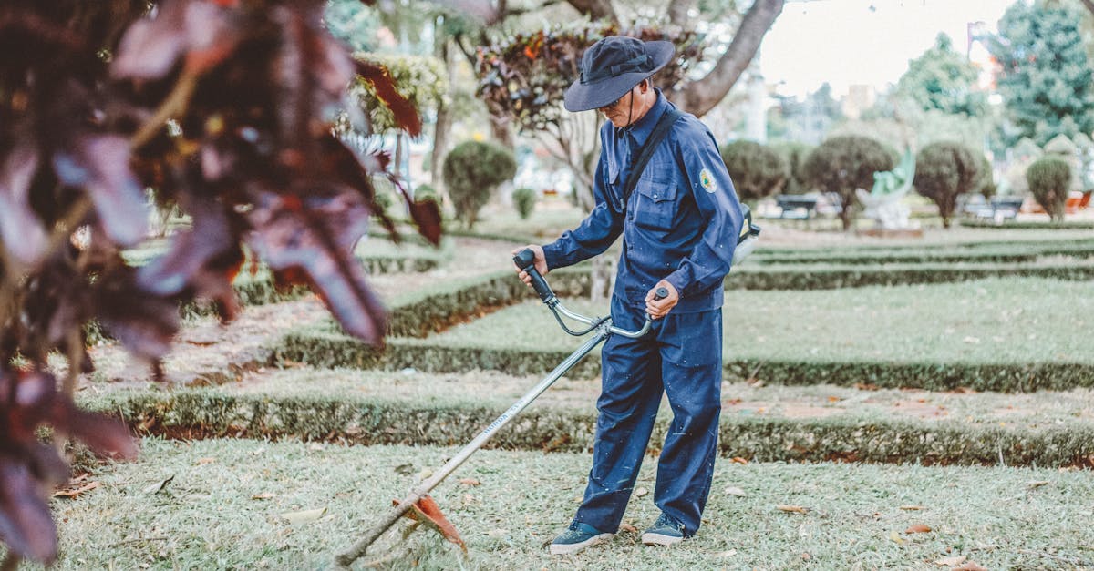 A gardener trims grass in a scenic park setting, focusing on maintenance and landscaping.