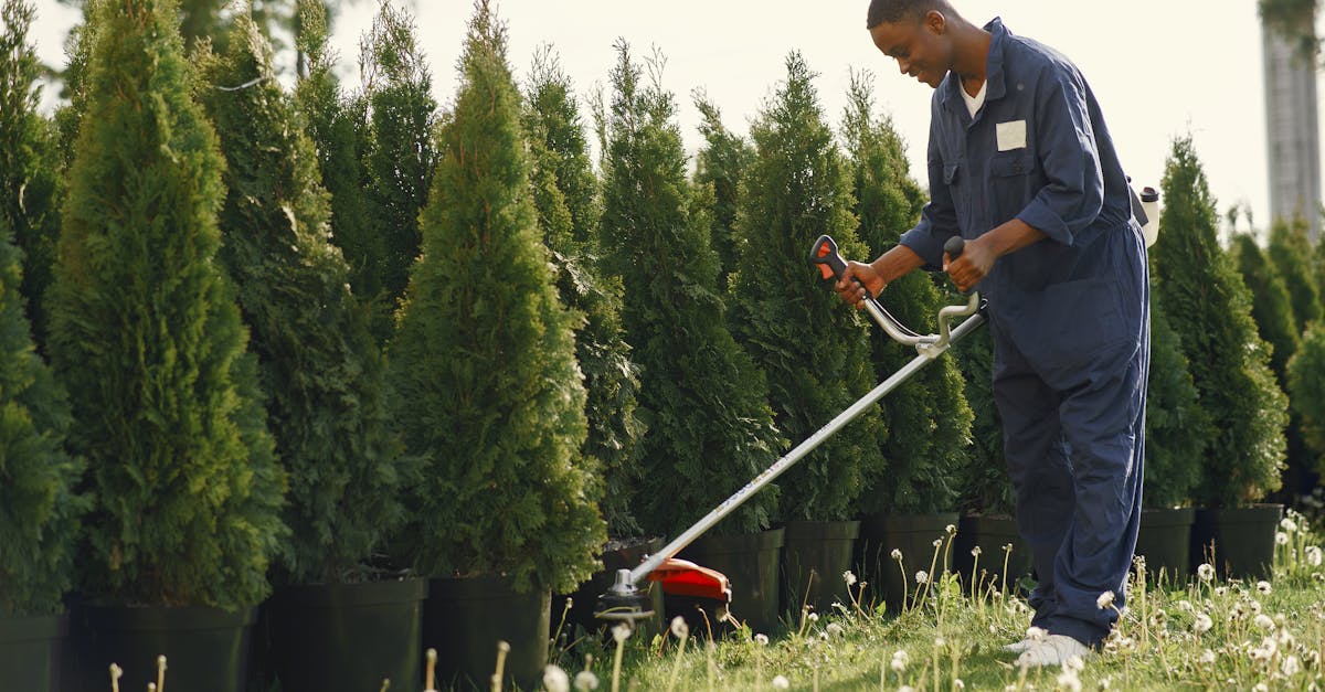 Man using grass cutter to trim trees in a sunny outdoor garden.