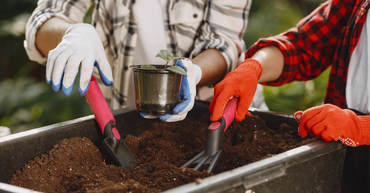 Individuals gardening outdoors using a trowel and rake with a potted plant.