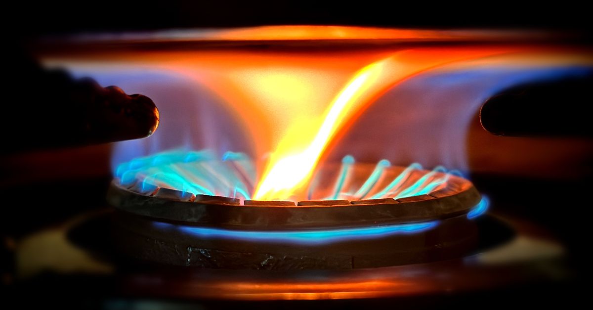 Close-up view of vibrant blue and orange flames on a gas stove burner.