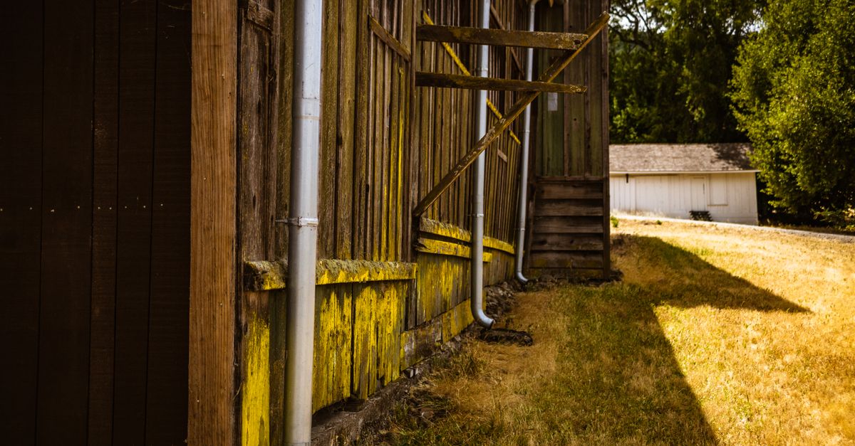 A rustic barn with rain gutters in a sunny rural setting, capturing rustic charm.