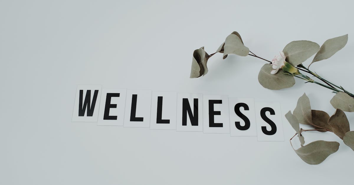 Minimalist image of the word 'wellness' with eucalyptus branch, creating a serene vibe on white background.