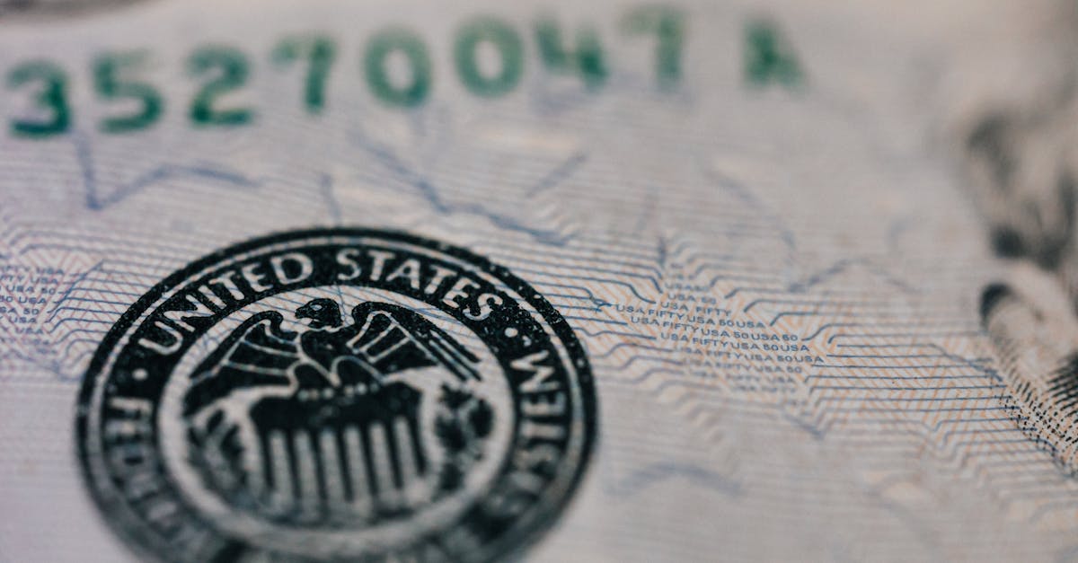 From above closeup of national symbol of USA paper money representing official seal with eagle with olive oil and arrow sitting on shield