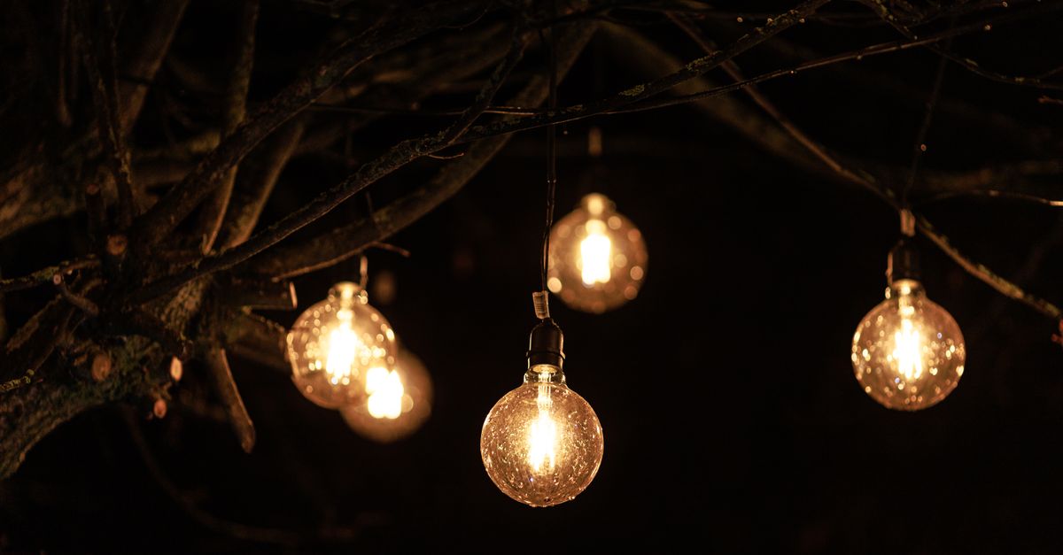 Glowing string lights hanging on a tree branch, enhancing nighttime atmosphere.