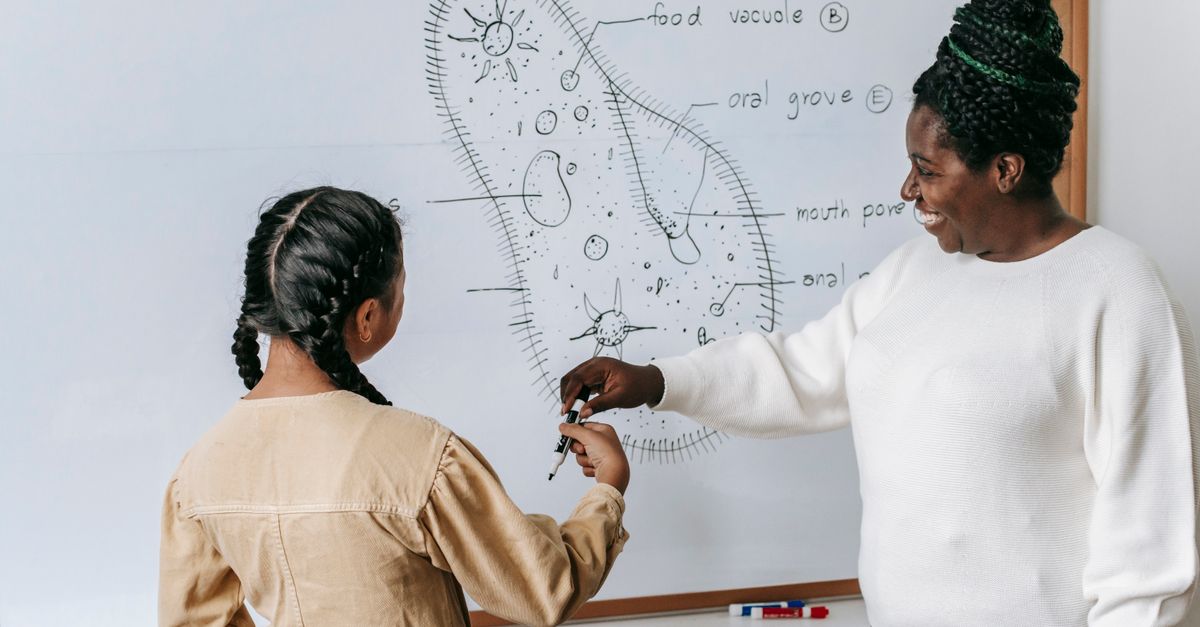 Smiling African American female teacher in casual clothes standing near whiteboard with scheme and helping pupil to write answer
