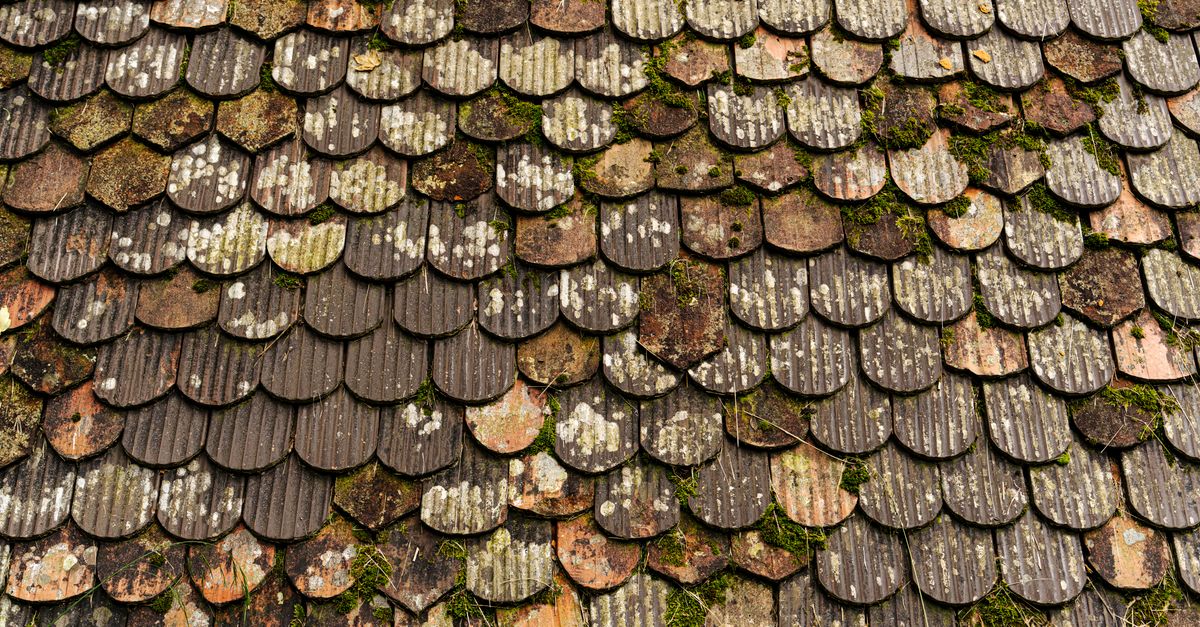 Close-up of weathered roof tiles with moss growth in Lausanne, Switzerland.