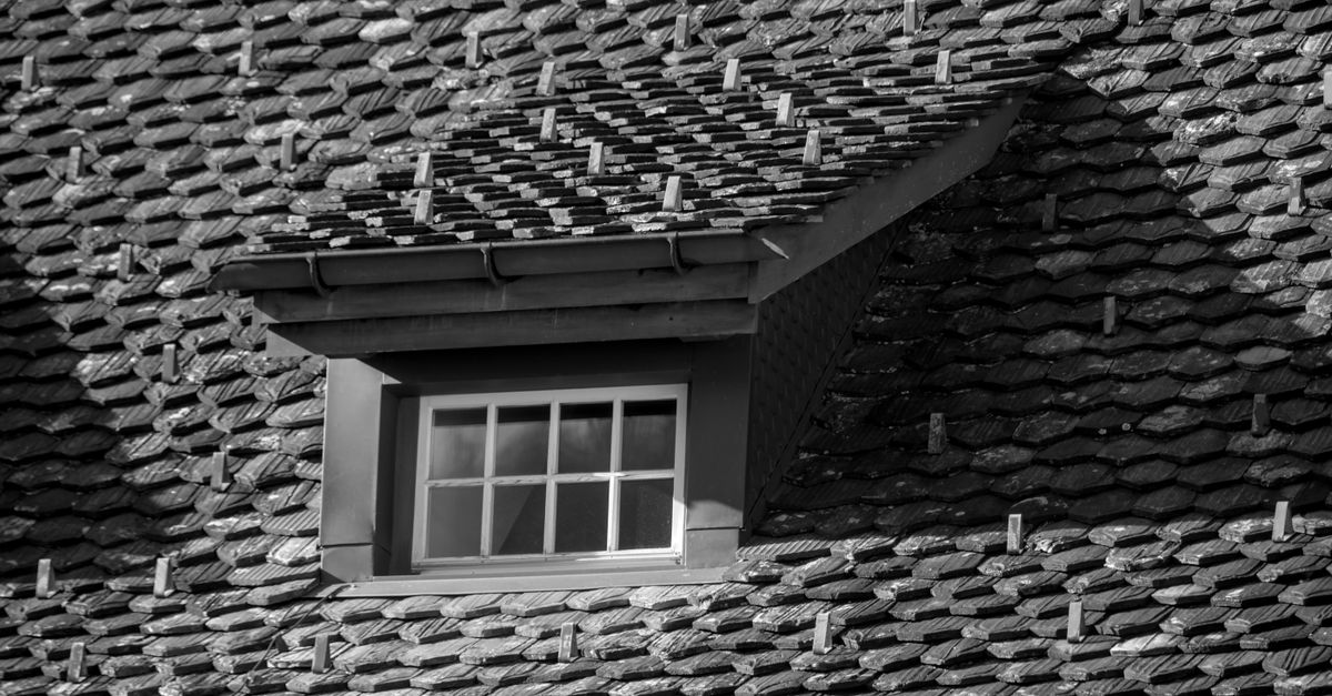 Black and white photo of a tiled roof featuring a dormer window, showcasing architectural details.