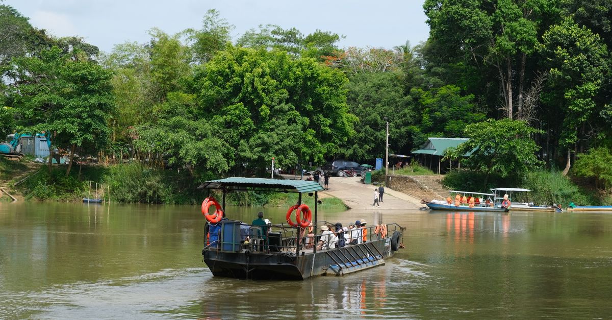 Peaceful river scene featuring a passenger ferry and lush green surroundings.