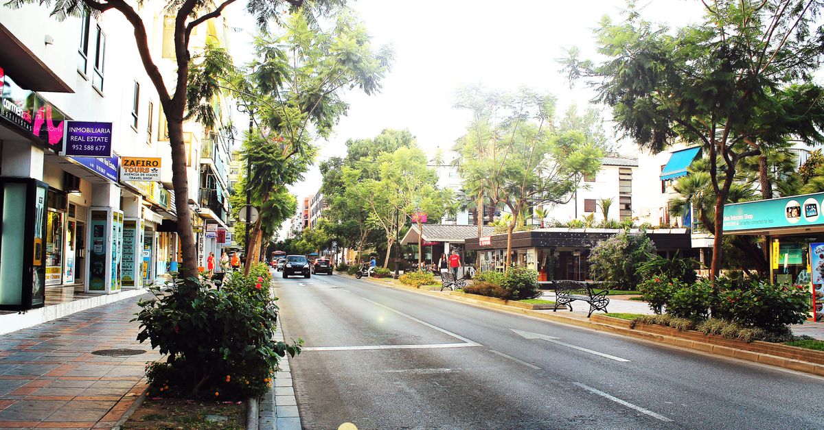 A vibrant city street scene with lush green trees and shops, capturing an urban atmosphere.