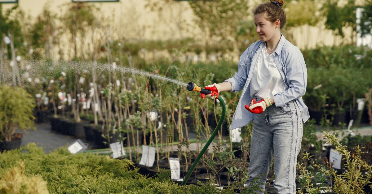 A young caucasian woman watering plants in a garden, showcasing horticultural care.