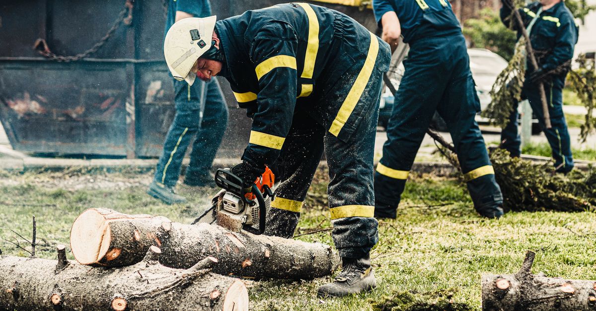 Firefighters in protective gear using a chainsaw to clear fallen trees outdoors. Teamwork in action.