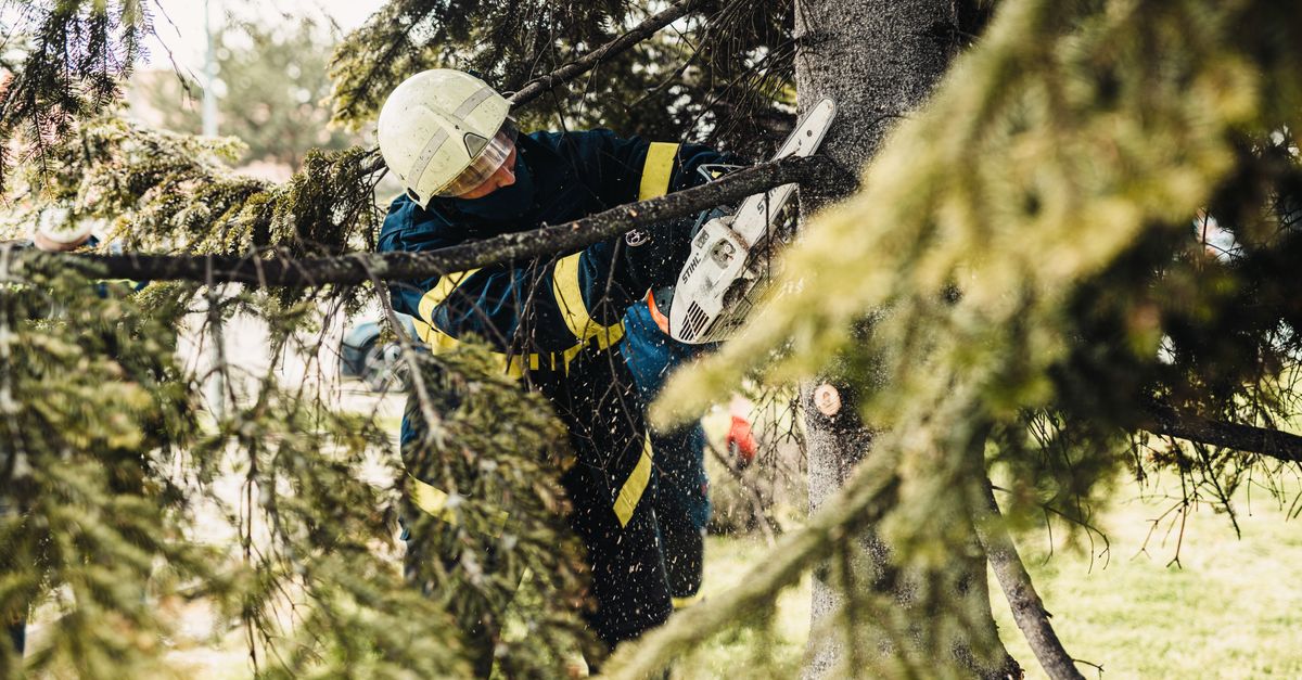 Firefighter in protective gear using chainsaw to cut tree branches outdoors.
