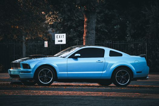 A classic blue Mustang coupe parked on a city street, highlighted by evening light and surrounded by trees.