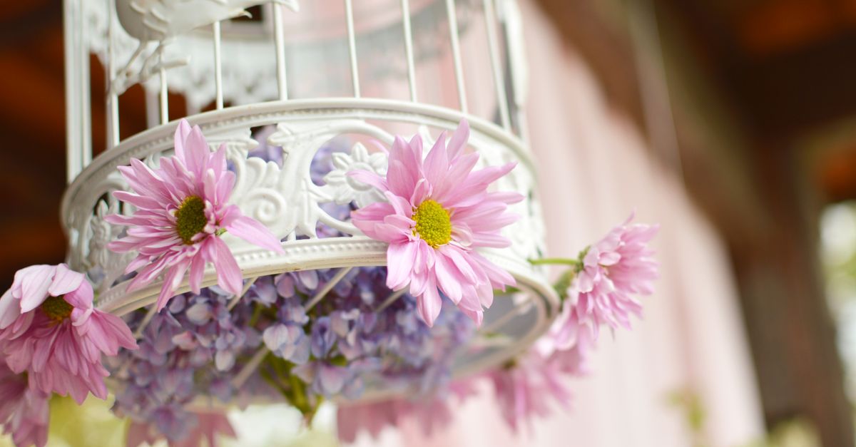 A decorative birdcage adorned with vibrant pink flowers, creating a romantic setting.