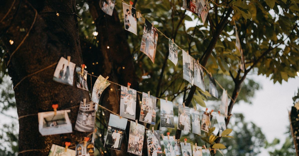 Outdoor display of photographs hanging from strings on a tree in a garden setting.